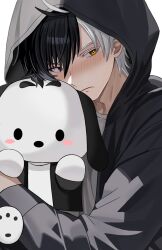 1boy black_eyes black_hair black_hoodie black_jacket blush closed_mouth heterochromia hood hooded_jacket hoodie hyohls2_(hamao3o) jacket long_sleeves male_focus multicolored_hair peanuts_(comic) sakura_haruka_(wind_breaker) short_hair snoopy solo stuffed_animal stuffed_dog stuffed_toy two-tone_hair white_hair wind_breaker_(nii_satoru) yellow_eyes