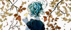 Rule 34 | 1other, aqua eyes, aqua hair, autumn leaves, branch, colored skin, formal clothes, from behind, gem uniform (houseki no kuni), ginkgo leaf, holding, holding leaf, houseki no kuni, leaf, other focus, phosphophyllite, puffy short sleeves, puffy sleeves, shiro (kuro guu), short hair, short sleeves, solo, suit, upper body, white background, white skin