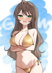 1girl ahoge bikini binsen blush breasts brown_hair cleavage crossed_arms gold_bikini green_eyes hair_down highres idolmaster idolmaster_million_live! long_hair looking_at_viewer official_alternate_hairstyle open_mouth sakuramori_kaori string_bikini swimsuit