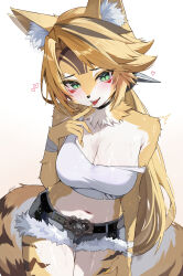 1girl absurdres animal_ears belt black_choker breasts choker cleavage furry furry_female green_eyes highres kkato large_breasts long_hair looking_at_viewer midriff navel pulchra_fellini short_shorts shorts simple_background solo sweat tail tank_top white_background white_tank_top zenless_zone_zero