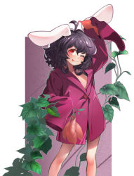 1girl ;p ahoge animal_ears black_hair buttons collarbone cowboy_shot female_focus flat_chest food holding holding_food inaba_tewi legs_apart long_sleeves looking_at_viewer naked_shirt one_eye_closed plant purple_shirt rabbit_ears radish red_hair shirt short_hair sleeves_past_wrists smile solo tanuk tongue tongue_out touhou vegetable