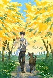 Rule 34 | 1boy, 1girl, autumn, bag, baguette, bread, brown eyes, brown hair, brown pants, brown shoes, collared shirt, commentary request, dappled sunlight, dog, dress shirt, fairy, flower, food, forest, grass, grey sweater vest, highres, holding, holding bag, holding food, holding paper, ito yoshi, long sleeves, nature, orange leaf, original, pants, paper, paper bag, scenery, shadow, shirt, shoes, short hair, shoulder bag, sleeves rolled up, solo focus, sunlight, sweatdrop, sweater vest, tree, v-neck, white shirt, wide shot
