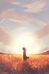 Rule 34 | artist name, cloud, cloudy sky, day, dress, field, from behind, full body, lens flare, light particles, mountainous horizon, original, outdoors, painterly, ponytail, scenery, signature, sky, standing, zandra