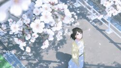 1girl absurdres black_hair brown_eyes buttons cardigan cherry_blossoms collared_shirt commentary_request fence from_above highres looking_up o-bana open_cardigan open_clothes original pavement petals pleated_skirt scenery shadow shirt skirt spring_(season) white_shirt white_skirt