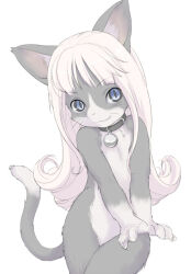 1girl animal_collar blue_eyes body_fur collar commentary_request cowboy_shot facial_mark furry furry_female grey_fur kikurage_(crayon_arts) long_hair looking_at_viewer original simple_background slit_pupils solo tail whisker_markings white_background white_hair