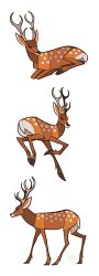 Rule 34 | animal, animal ears, antlers, artist name, commentary, deer, deer antlers, deer ears, deer tail, english commentary, from side, highres, horns, jemma, multiple views, original, simple background, solo, tail, white background