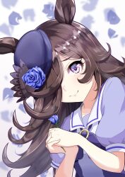 Rule 34 | 1girl, animal ears, blue flower, blue hat, blue rose, bow, bowtie, brown hair, closed mouth, flipped hair, flower, flower ornament, hair over one eye, hat, hat flower, highres, holding, holding flower, horse ears, horse girl, long hair, looking at viewer, own hands clasped, own hands together, petals, puffy short sleeves, puffy sleeves, purple bow, purple bowtie, purple eyes, rice shower (umamusume), rose, sailor collar, school uniform, short sleeves, simple background, single tear, smile, solo, takesyun, tilted headwear, tracen school uniform, umamusume, upper body, white sailor collar
