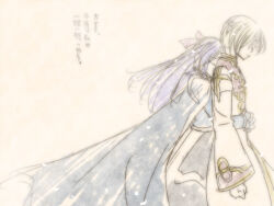 Rule 34 | 1boy, 1girl, blue cape, cape, closed eyes, coat, commentary request, cowboy shot, crusader (ragnarok online), dated commentary, faceless, faceless male, gold trim, high priest (ragnarok online), hug, hug from behind, long hair, lowres, profile, purple hair, ragnarok online, sharari, simple background, translation request, white coat