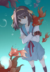 1girl a_yu_(2932120331) absurdres air_bubble armband black_socks blue_sailor_collar blue_skirt brown_eyes brown_hair bubble closed_mouth commentary_request crossed_arms fish fish_request hair_ribbon hairband highres kita_high_school_uniform kneehighs long_sleeves medium_hair red_armband red_ribbon ribbon sailor_collar school_uniform serafuku skirt socks solo standing suzumiya_haruhi suzumiya_haruhi_no_yuuutsu underwater winter_uniform yellow_hairband yellow_ribbon