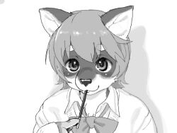 1girl animal_hands body_fur claws dog_girl eating food furry furry_female greyscale kikurage_(crayon_arts) looking_at_viewer monochrome original pocky short_hair simple_background solo upper_body white_background