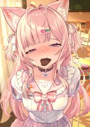 1girl absurdres animal_ear_fluff animal_ears antenna_hair arms_behind_back blush candy chocolate chocolate_heart classroom collar food furrowed_brow hair_ornament hair_ribbon hairclip hakui_koyori hakui_koyori_(school_uniform) hanami_mai heart heart-shaped_food highres hololive looking_at_viewer mouth_hold parted_bangs pendant_collar pink_hair pink_ribbon pink_sailor_collar plaid_clothes plaid_skirt puffy_short_sleeves puffy_sleeves purple_eyes ribbon sailor_collar shirt short_sleeves skirt sleeve_slit solo tail two_side_up upper_body virtual_youtuber white_shirt wolf_ears wolf_tail