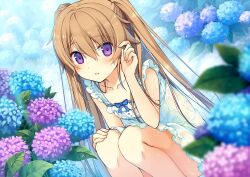 1girl after_rain ao_no_kanata_no_four_rhythm arisaka_mashiro bare_shoulders blue_bow blue_flower blurry blush bow breasts brown_hair collarbone commentary_request convenient_leg day depth_of_field dress dress_bow dutch_angle eyelashes eyes_visible_through_hair feet_out_of_frame flower frilled_dress frills garden hair_between_eyes hand_on_own_knee hand_up highres leaf long_hair looking_at_viewer official_art outdoors parted_lips purple_eyes purple_flower see-through_clothes see-through_dress short_dress sidelocks sleeveless sleeveless_dress small_breasts solo squatting story_in_commentary sundress sunlight suzumori twintails very_long_hair wet wet_clothes wet_dress wet_hair