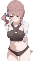 Rule 34 | 1girl, arms behind back, asymmetrical sidelocks, bikini, black bikini, blue eyes, blunt bangs, blush, breasts, brown hair, cleavage, closed mouth, collarbone, commentary, cowboy shot, criss-cross halter, embarrassed, hair ornament, hair scrunchie, halterneck, highres, holding own arm, hood, hood down, hooded jacket, jacket, kunizaki, large breasts, long hair, looking to the side, mochizuki honami, multi-strapped bikini bottom, musical note, musical note print, navel, open clothes, open jacket, project sekai, scrunchie, side ponytail, sidelocks, simple background, solo, sweatdrop, swimsuit, thigh gap, thighs, white background, white jacket