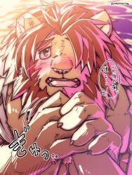 1boy absurdres animal_ears artist_name blush claws commentary_request fangs from_above furry furry_male hair_over_one_eye highres holding_hands lion_boy lion_ears lion_mane looking_at_viewer looking_up male_focus muscular muscular_male open_clothes open_mouth open_shirt oz_(housamo) pabuhisasiva pectorals speech_bubble tokyo_houkago_summoners translation_request upper_body