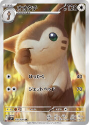 ;3 artist_name blurry blurry_background border card_(medium) closed_mouth commentary_request day furret gen_2_pokemon green_eyes grey_border happy highres looking_at_viewer nintendo no_humans official_art one_eye_closed outdoors pokemon pokemon_(creature) pokemon_card pokemon_tcg rend smile solo translation_request