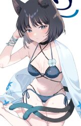 absurdres animal_ears bikini black_eyes black_tail blue_archive blue_bikini blue_halo blue_tail cat_ears cat_girl cat_tail colored_inner_animal_ears criss-cross_halter criss-cross_straps gradient_tail halo halterneck highres kikyou_(blue_archive) kikyou_(swimsuit)_(blue_archive) layered_bikini multi-strapped_bikini_bottom multiple_tails official_alternate_costume okurarebito swimsuit tail two_tails