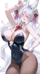 1girl :d absurdres ahoge animal_ear_fluff animal_ears arm_behind_back armpit_crease bell black_leotard breasts brown_pantyhose cleavage covered_navel cowboy_shot detached_collar double-parted_bangs ella_7737 facial_mark fox_ears fox_girl fox_tail hair_bell hair_intakes hair_ornament hand_up highleg highleg_leotard highres huge_breasts indie_virtual_youtuber jingle_bell leotard long_hair looking_at_viewer neck_bell open_mouth pantyhose playboy_bunny red_eyes red_nails red_ribbon ribbon satsuki_mei_(vtuber) second-party_source simple_background smile solo strapless strapless_leotard tail twintails very_long_hair virtual_youtuber white_background white_hair wrist_cuffs