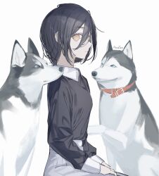 1girl 2dogs @_@ absurdres anataa animal black_hair black_shirt chainsaw_man dog hair_between_eyes highres husky looking_at_viewer nayuta_(chainsaw_man) shirt short_hair simple_background sitting skirt solo upper_body white_background white_skirt yellow_eyes