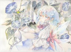 Rule 34 | 1girl, blue dress, blue eyes, blue flower, blue hair, bow, bowtie, cirno, closed mouth, commentary, detached wings, dress, flower, green ribbon, hair bow, hair ribbon, highres, leaf, looking at viewer, morning glory, painting (medium), plant, red bow, red bowtie, ribbon, shirt, short sleeves, solo, syukou, touhou, traditional media, vines, watercolor (medium), white shirt, wings