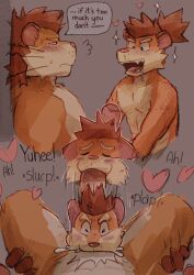 2boys abs animal_ears bara blush brothers character_name choi_yuhee_(xxl) choi_yuhyun_(xxl) commentary completely_nude drooling english_commentary english_text erection fangs fellatio furry furry_male grey_background heart highres incest looking_at_another male_focus multiple_boys muscular muscular_male nude open_mouth oral pectorals penis siblings sobekdraws sound_effects sparkle speech_bubble weasel_boy weasel_ears whiskers xxl_woofia yaoi