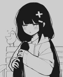 Rule 34 | 1girl, :o, absurdres, animal, art waven, bird, blunt bangs, commentary request, drawstring, fingernails, grey background, greyscale, hair ornament, hair tie, hands up, high contrast, highres, holding, holding own hair, hood, hood down, hoodie, inabakumori, jitome, long hair, long sleeves, looking at animal, looking to the side, low twintails, monochrome, on bench, open mouth, osage (nukunuku nigirimeshi), plus sign, puffy long sleeves, puffy sleeves, sidelocks, simple background, sleeves past wrists, solo, twintails, upper body, very long hair