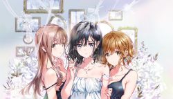 3girls arm_grab black_dress black_eyes black_hair blue_flower blurry blurry_background blush braid brown_eyes brown_hair closed_mouth commentary commentary_request cross cross_necklace depth_of_field dress english_commentary flower from_side girl_sandwich hair_flower hair_ornament hand_in_own_hair indoors jewelry light_frown long_sleeves looking_at_viewer masamune-kun_no_revenge medium_hair multiple_girls necklace original picture_frame rose sandwiched short_hair side-by-side strap_slip tiv white_dress white_flower white_rose