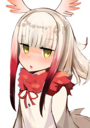 10s 1girl blush feathered_wings female_focus gradient_hair head_wings highres japanese_crested_ibis_(kemono_friends) jitome kemono_friends long_hair long_sleeves looking_at_viewer multicolored_hair muoto open_mouth red_hair simple_background solo teeth upper_body white_background white_hair wings