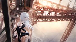 1girl a2_(nier:automata) absurdres android black_thighhighs blue_eyes flower highres hs_(user_hvww8443) joints long_hair looking_at_viewer lunar_tear nier:automata nier_(series) outdoors robot_joints single_thighhigh sitting solo thighhighs torn_clothes white_flower white_hair