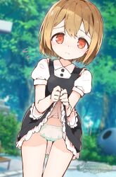 :o bench black_dress blurry blurry_background bob_cut clothes_lift collared_shirt commentary_request constricted_pupils cowboy_shot dot_nose double-parted_bangs dress dress_lift dutch_angle frilled_dress frills furrowed_brow green_panties groin highres lifting_own_clothes logo loli nervous orange_eyes orange_hair original outdoors outline panties park park_bench parted_lips pinafore_dress puffy_short_sleeves puffy_sleeves rekindlingburn shirt short_dress short_sleeves sleeveless sleeveless_dress solo tareme underwear white_outline white_shirt