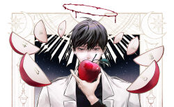 1boy apple apple_slice black_eyes black_hair black_shirt blood blood_halo coat covering_own_mouth crescent food fruit halo holding holding_food holding_fruit kim_dokja liquid_halo looking_at_object male_focus numbered omniscient_reader&#039;s_viewpoint raya_(000_unseen) shadow shirt short_hair silhouette solo sparkle sun white_background white_coat yoo_joonghyuk