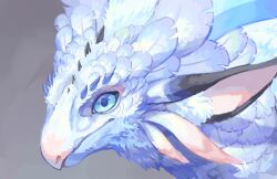animal_ear_fluff animal_ears beak blue_eyes blue_horns close-up dragon dragon_horns feathered_dragon feathers from_side grey_background horns looking_at_viewer monster monster_focus no_humans original portrait shina_ppp simple_background spines white_feathers