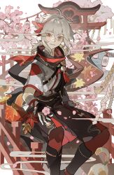 1boy absurdres ahoge artist_name asymmetrical_sleeves bandaged_hand bandages bishounen black_gloves black_kimono black_scarf black_shorts branch bridge cat cherry_blossoms commentary crossed_bangs feet_out_of_frame fingerless_gloves genshin_impact gloves grey_hair hair_between_eyes hakama hakama_shorts highres japanese_clothes kaedehara_kazuha kimono lantern leaf_print long_sleeves looking_at_viewer low_ponytail male_focus maple_leaf_print medium_hair multicolored_hair multicolored_kimono pantyhose paper_lantern parted_lips pink_petals ponytail red_eyes red_hair red_pantyhose red_scarf rope scarf shide shimenawa short_sleeves shorts shrine sialou sitting smile solo streaked_hair symbol-only_commentary tassel torii tree uneven_sleeves white_kimono