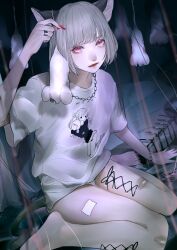 Rule 34 | 1girl, absurdres, animal, animal ears, bad anatomy, bad leg, bandaid, bandaid on knee, bandaid on leg, bandaid on thigh, barefoot, cat ears, cat girl, cat tail, chain, chain bracelet, chain necklace, closed mouth, corset piercing, dead animal, eyelashes, fingernails, fish skeleton, full body, grey hair, highres, holding, holding animal, indoors, jewelry, leg piercing, lipstick, long fingernails, looking at viewer, makeup, mano aaa, mouse (animal), nail polish, necklace, original, print shirt, red eyes, red lips, red nails, shirt, short hair, short shorts, short sleeves, shorts, sitting, slit pupils, solo, t-shirt, tail, toenail polish, toenails, wariza, white shirt, white shorts