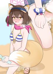 1boy 1girl absurdres animal_ears bikini blue_archive breasts brown_hair cat_ears fox_tail highres izuna_(blue_archive) lmc_(pivix) open_mouth pee pee_stain peeing short_hair sitting small_breasts stain swimsuit tail tongue trembling wet wet_clothes yellow_eyes