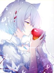 1girl animal_ears apple cat_ears cat_girl chest_jewel food fruit grey_hair highres holding holding_food holding_fruit mio_(xenoblade) short_hair simple_background solo string string_of_fate ui_frara upper_body white_background xenoblade_chronicles_(series) xenoblade_chronicles_3 yellow_eyes