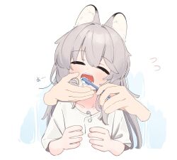 Rule 34 | 1girl, 1other, :o, animal ear fluff, animal ears, brushing another&#039;s teeth, closed eyes, collarbone, disembodied hand, facing viewer, fangs, flying sweatdrops, grey hair, hands up, highres, holding, holding toothbrush, long hair, open mouth, original, riya (01214), shirt, short sleeves, solo focus, toothbrush, toothbrush in mouth, white shirt