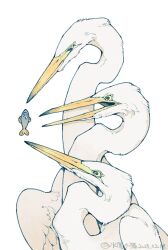 animal_focus artist_name beak bird dated egret_(animal) fish highres looking_at_food no_humans original shuini_xiaomao simple_background tearing_up weibo_username white_background white_bird