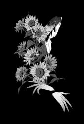 1boy benkdjjituibot black_background black_cloak black_hair cloak double-parted_bangs fingernails flower greyscale hair_between_eyes highres holding holding_flower long_fingernails looking_at_viewer male_focus monochrome omniscient_reader&#039;s_viewpoint partially_invisible partially_shaded_face secretive_plotter serious sharp_fingernails solo sunflower too_many_flowers upper_body