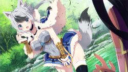 2girls aki_(sakura_isekai_adventure) animal_ears armor armored_dress black_choker black_hair blue_gemstone choker dress floating_hair forest fur_jacket game_cg gem green_nails grey_eyes grey_hair highres inma jacket mina_(sakura_isekai_adventure) multicolored_hair multiple_girls nature official_art river riverbank sakura_isekai_adventure skirt surprised tail thighhighs wet wind wind_lift wolf_ears wolf_girl wolf_tail