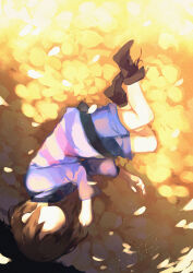 1other ankle_boots blue_shorts bob_cut boots brown_boots brown_hair closed_eyes commentary_request falling_petals field film_grain flower flower_field frisk_(undertale) full_body long_sleeves lying mii_(chibinomi) on_side other_focus petals pink_shirt purple_shirt shirt short_hair shorts solo striped_clothes striped_shirt two-tone_shirt undertale upside-down yellow_flower yellow_petals