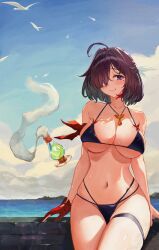 1girl absurdres ahoge asymmetrical_bangs atelier_(series) atelier_yumia bikini black_bikini black_hair blue_sky breasts closed_mouth commentary curvy flammi_(atelier) gloves groin hair_over_one_eye highres horizon jewelry large_breasts looking_at_viewer medium_hair mole mole_under_eye multicolored_hair navel necklace parted_bangs partially_fingerless_gloves purple_eyes red_gloves red_hair shippo_(pixiv_18567314) simple_bird single_glove sky smile solo standing streaked_hair swimsuit two-tone_hair wet yumia_liessfeldt