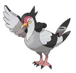 animal_focus artist_request bird bird_wings feathered_wings feathers full_body gen_5_pokemon highres nintendo no_humans official_art open_mouth pokemon pokemon_(creature) pokemon_bw pokemon_focus solo third-party_source tranquill wings yellow_eyes