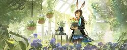 1girl absurdres amiya_(arknights) animal_ears arknights ascot black_jacket blue_ascot blue_eyes blue_flower blue_skirt brown_hair brown_pantyhose closed_mouth commentary english_commentary flower flower_pot frilled_ascot frills greenhouse guang_quan hair_between_eyes hanging_flower highres holding holding_flower_pot hood hooded_jacket jacket long_hair looking_at_viewer mixed-language_commentary open_clothes open_jacket orange_flower pantyhose purple_flower rabbit_ears rabbit_girl rhodes_island_logo_(arknights) scenery shirt skirt smile white_shirt