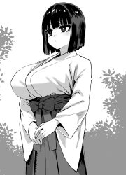 Rule 34 | 1girl, asanagi, black hair, bow, breasts, commentary request, hakama, hakama skirt, highres, japanese clothes, kimono, large breasts, miko, monochrome, obi, original, own hands together, sash, short hair, skirt, solo