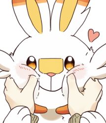 animal_ears blush close-up closed_mouth gen_8_pokemon hands_on_another&#039;s_cheeks hands_on_another&#039;s_face heart looking_at_viewer luxury_gin nintendo pokemon pokemon_(creature) pov rabbit_ears scorbunny smile white_background