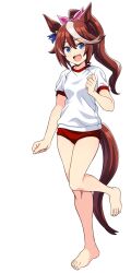 1girl animal_ears barefoot blue_eyes blue_ribbon bow brown_hair buruma commentary ear_ribbon full_body gym_shirt gym_uniform hair_bow high_ponytail highres horse_ears horse_girl horse_tail long_hair multicolored_hair pink_bow ponytail ponzu_rui red_buruma ribbon shirt simple_background smile solo standing standing_on_one_leg streaked_hair t-shirt tail tokai_teio_(umamusume) two-tone_hair umamusume white_background white_hair white_shirt