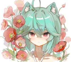 Rule 34 | 1girl, ahoge, animal ear fluff, animal ears, aqua hair, blush, cat ears, chinese commentary, closed mouth, commentary request, crossed bangs, expressionless, flower, hair between eyes, hair intakes, highres, looking at viewer, medium hair, original, poppy (flower), portrait, red eyes, red flower, shang bu, solo