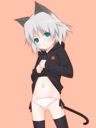 Rule 34 | 00s, 0123456789, 1girl, animal ears, black thighhighs, blue eyes, blush, clothes lift, female focus, lowleg, lowleg panties, panties, sanya v. litvyak, shirt lift, short hair, side-tie panties, silver hair, solo, strike witches, tail, thighhighs, underwear, white panties, world witches series