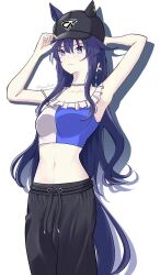 1girl animal_ears aysellost baseball_cap black_hat black_pants blue_eyes boc&#039;z_(umamusume) commentary ear_covers ears_through_headwear hat highres horse_ears horse_girl horse_tail long_hair midriff mole mole_under_eye navel official_alternate_costume pants pink_tube_top purple_hair simple_background single_ear_cover solo strapless tail tube_top twitter_username umamusume verxina_(boc&#039;z_we\n)_(umamusume) verxina_(umamusume) white_background