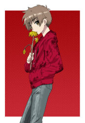 1boy brown_eyes brown_hair cardcaptor_sakura denim flower holding holding_flower jacket li_syaoran long_sleeves looking_at_viewer male_focus polka_dot polka_dot_background red_background red_jacket short_hair solo wakaho_riku yellow_flower
